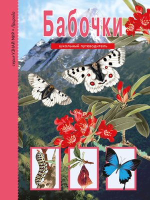 cover image of Бабочки